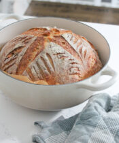 Simple & Easy No-Knead White Bread