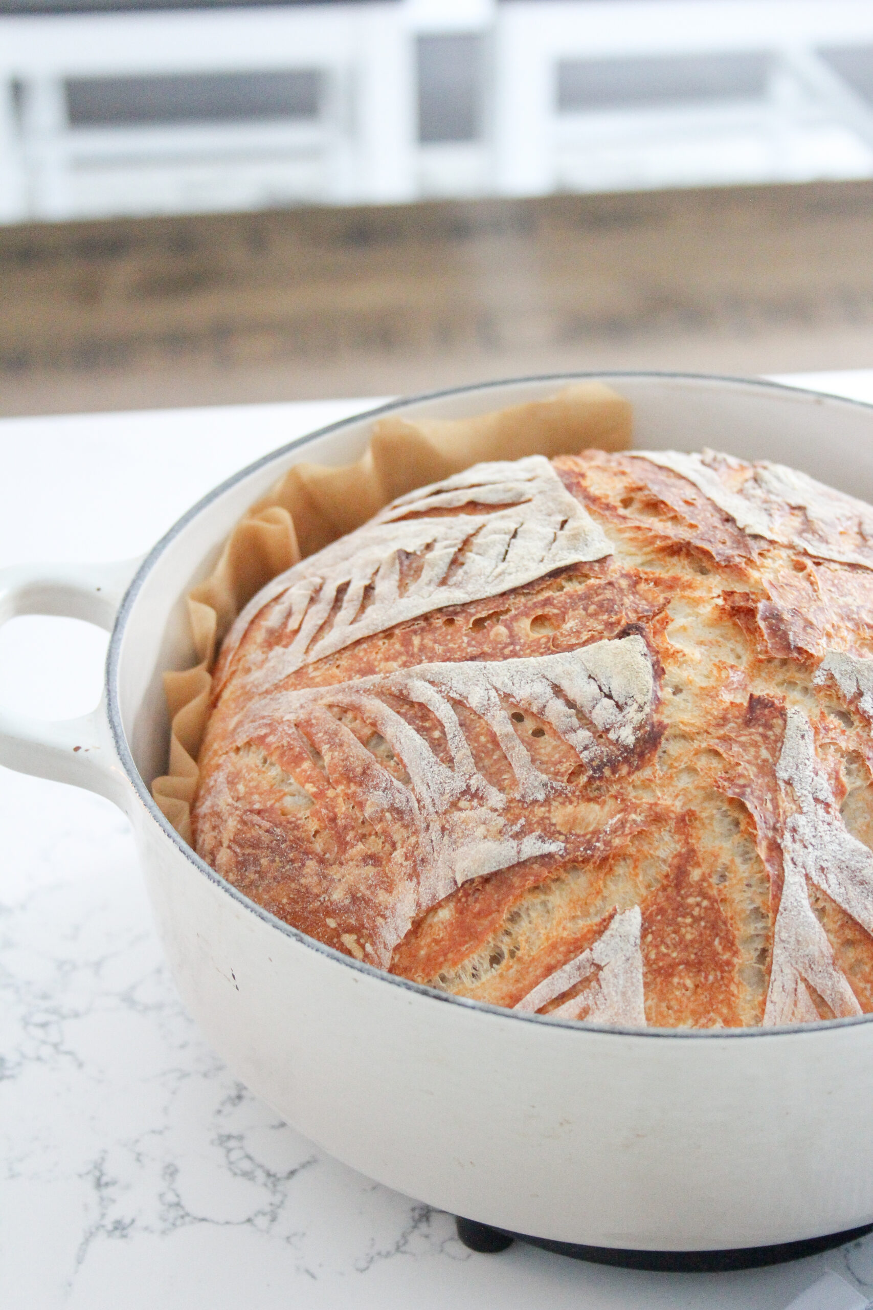 no-knead white round bread loaf